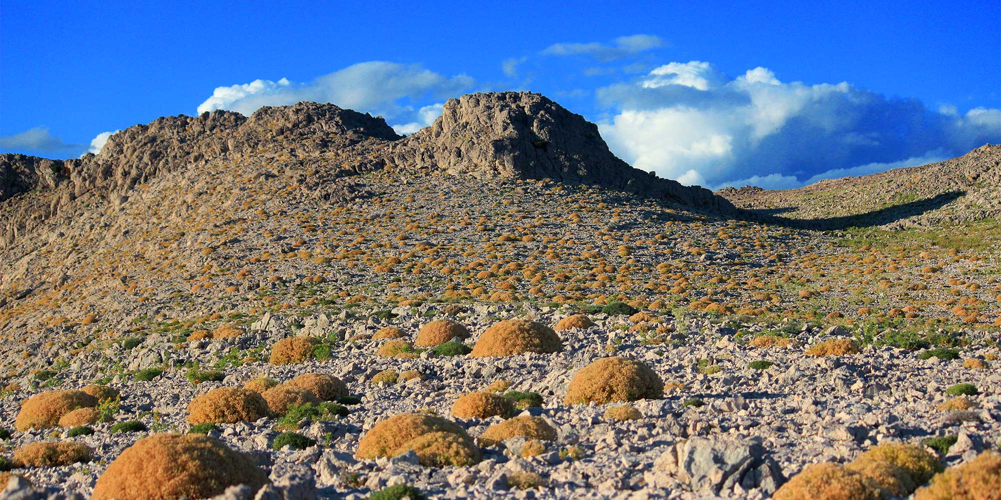 Untouched Nature